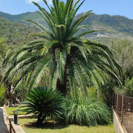 Capllonch Holiday home Banyalbufar
